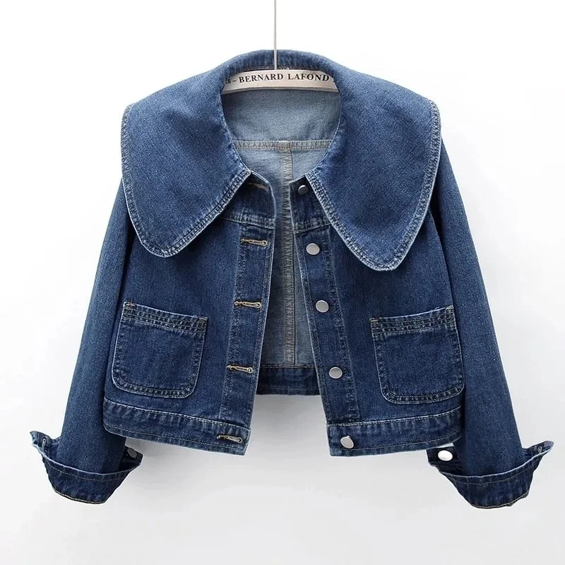 2024 New Autumn Women Denim Ja - đánh giá và giá Down Jacket Packable